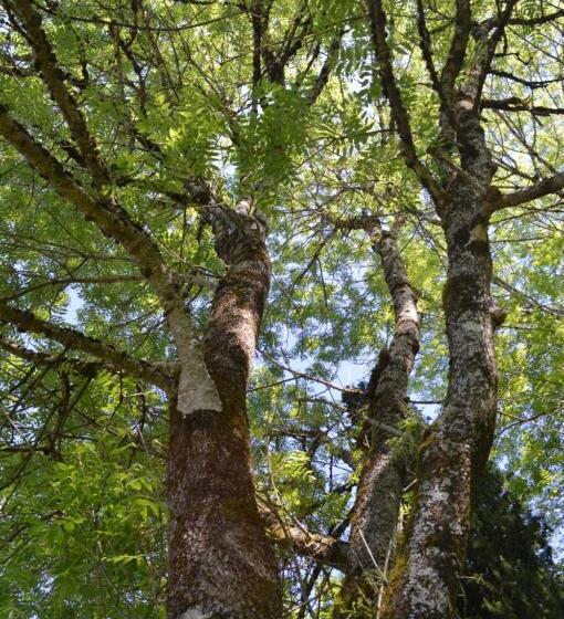 ベッドアンドブレックファースト Duc Manoir Chambres D Hôtes