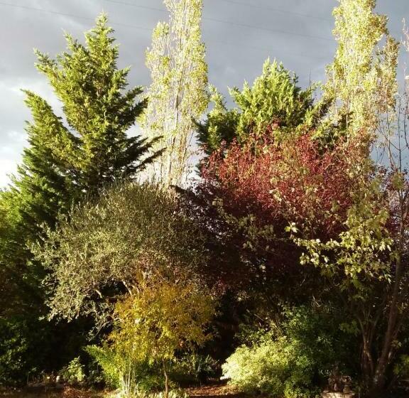 مبيت وإفطار I Tamerici