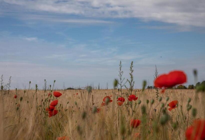 Bed and Breakfast Le Manoir De La Valette