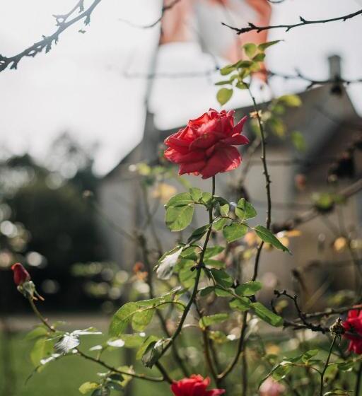 مبيت وإفطار Les Granges Pelloquin