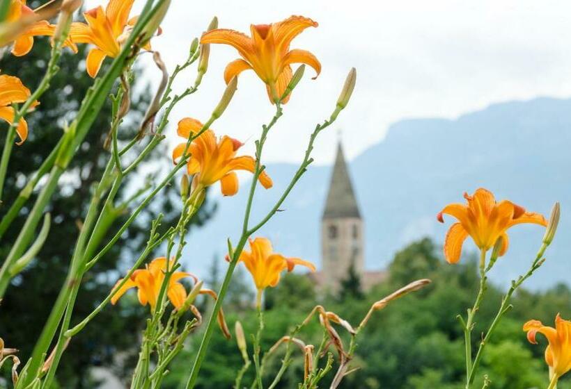 בית מלון כפרי Buchholz