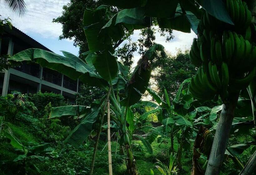 Отель Green Pepper Garden