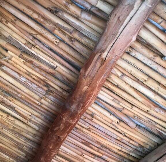 酒店 Hôtel La Fleur D Amanouz