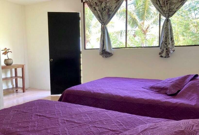 Пансион Coco Viejo Posada