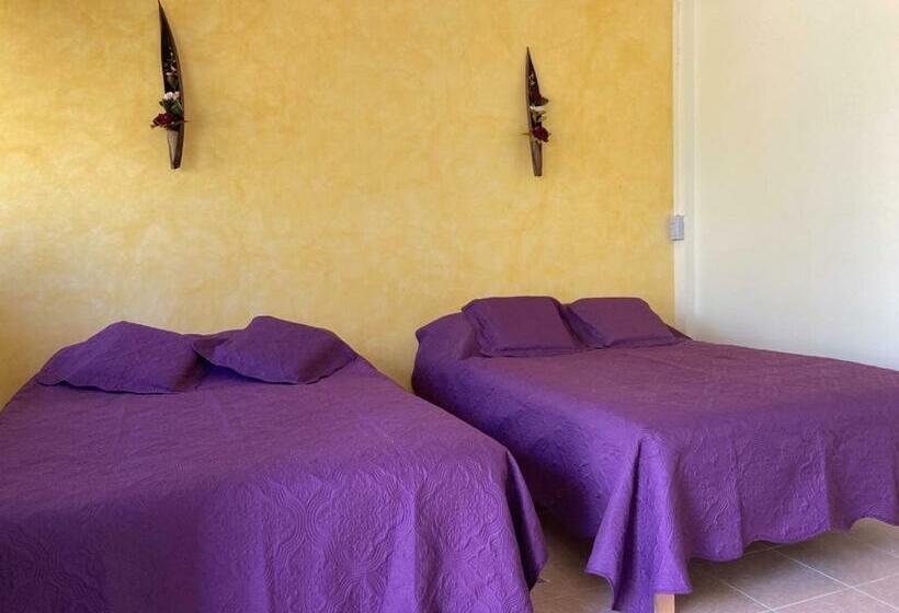 بنسيون Coco Viejo Posada