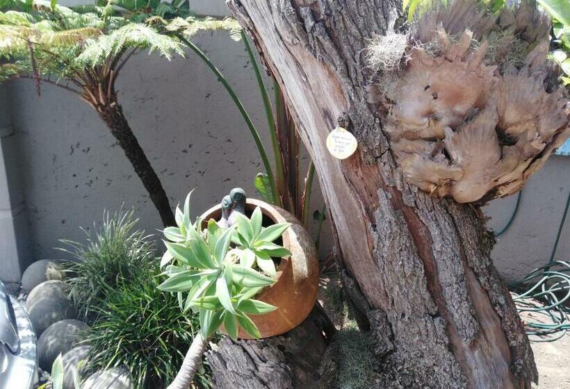 פנסיון Dunbar Mello