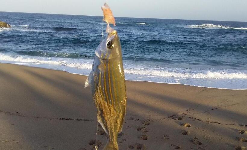 פנסיון Dunbar Mello