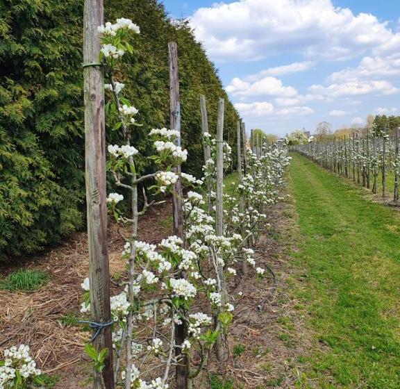 B&b Linje Ell Gemeente Leudal