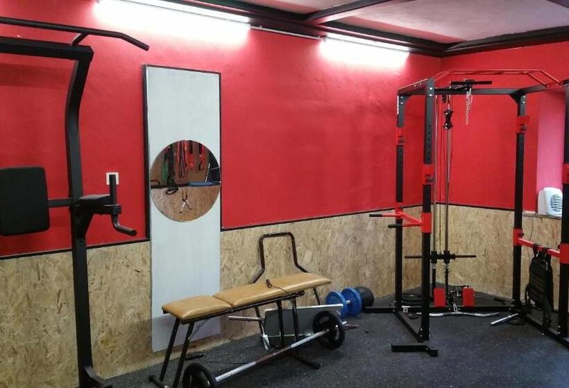 住宿加早餐  Edel Weiss Gästezimmer