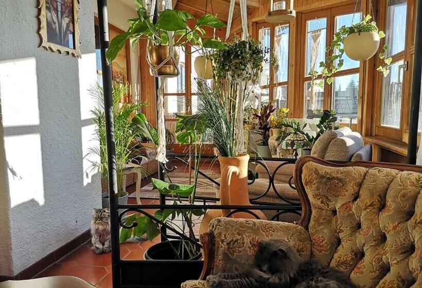 住宿加早餐  Edel Weiss Gästezimmer