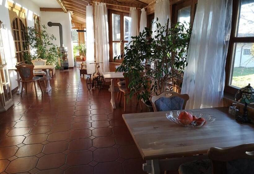 住宿加早餐  Edel Weiss Gästezimmer