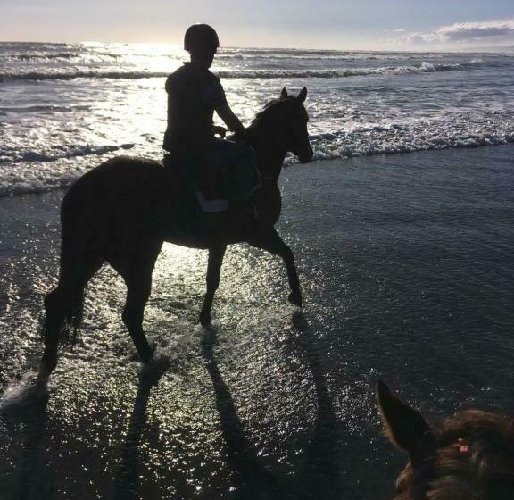 ベッドアンドブレックファースト Horseinaround