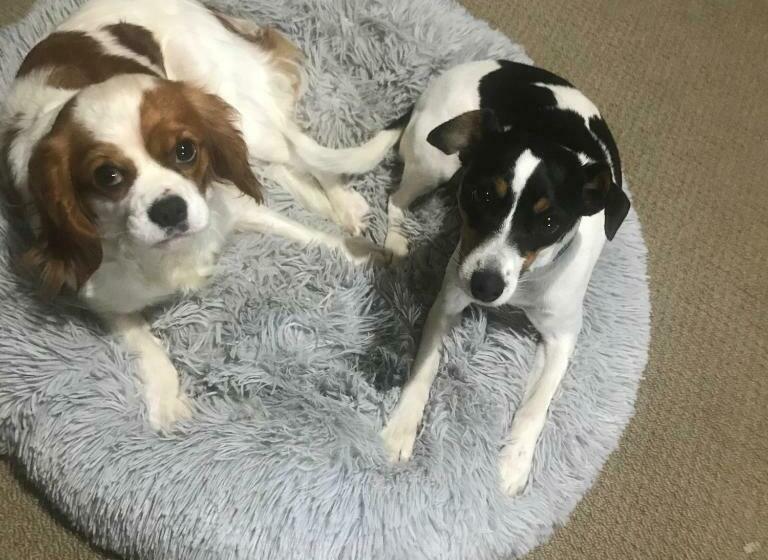 ベッドアンドブレックファースト Horseinaround