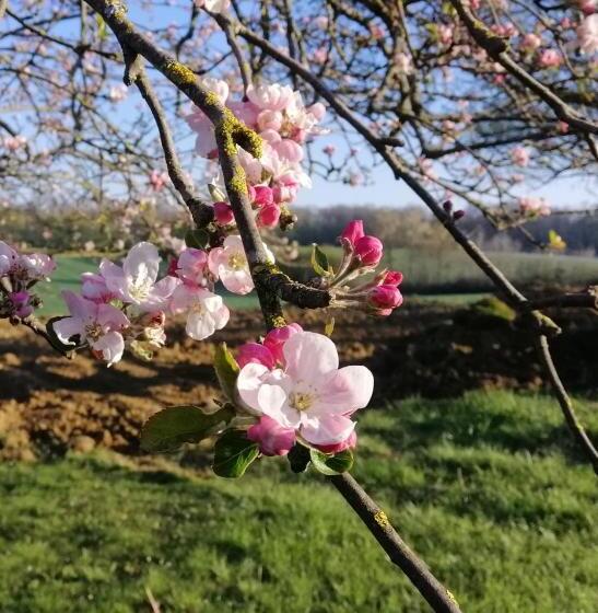 住宿加早餐  La Grange à Outeaux