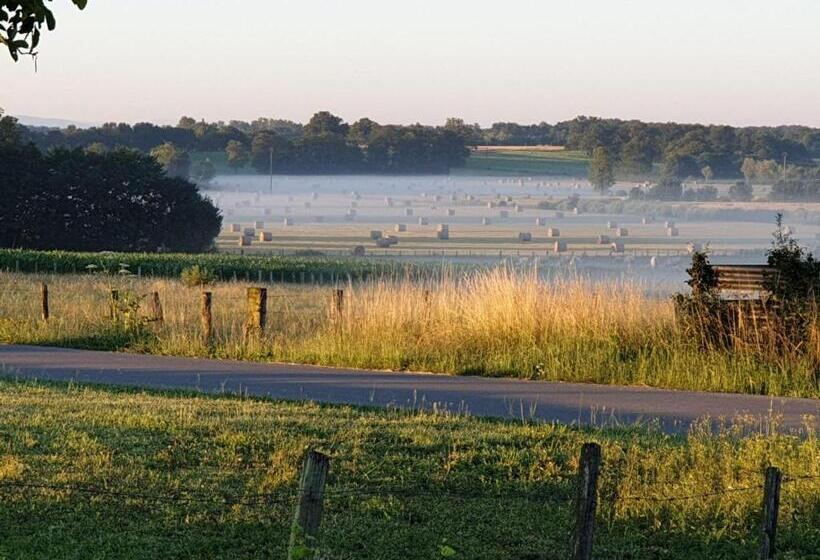 住宿加早餐  La Grange à Outeaux