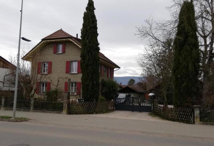 Bed and Breakfast Lucky Duck