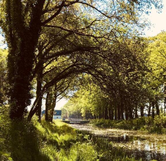 Boutique B&b Erve Hasselo