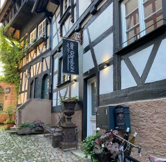 Der Gänsbühl Auf Der Stadtmauer