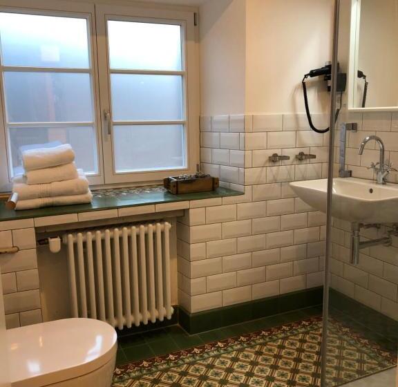 Der Gänsbühl Auf Der Stadtmauer