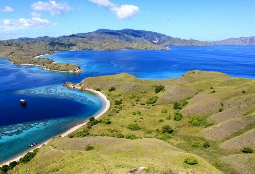 هتل Villa De Owis