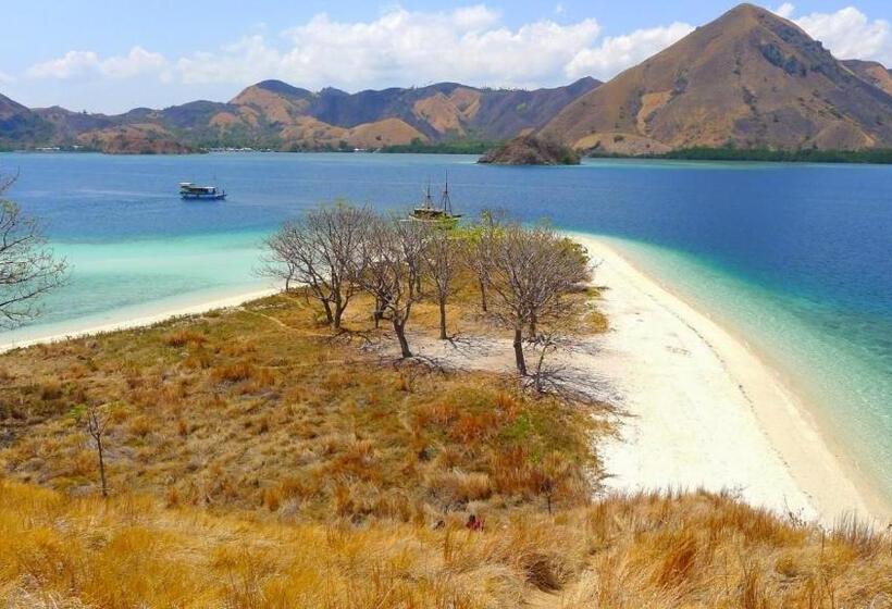 هتل Villa De Owis