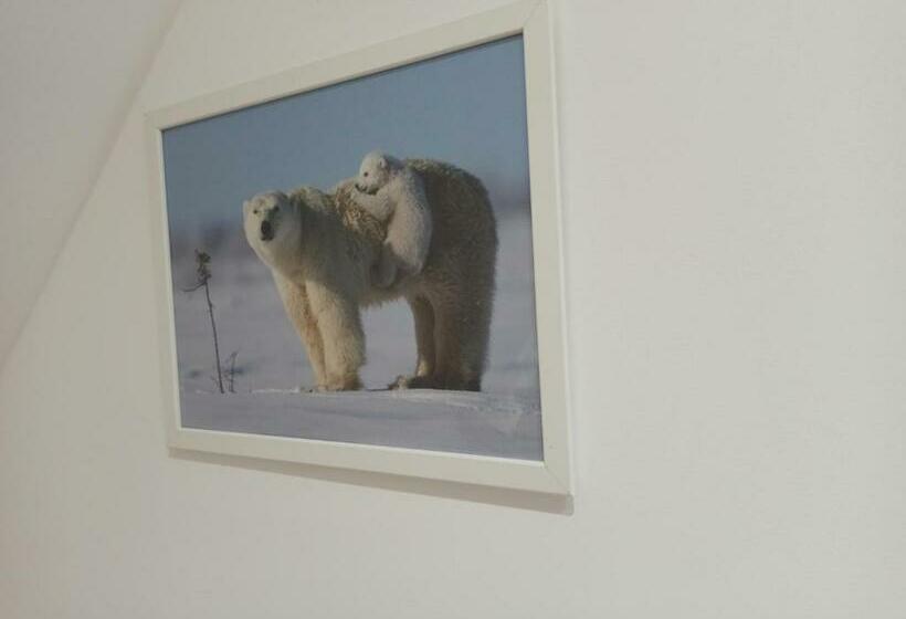 膳宿费 A 4 Min Du Zoo De Beauval La Maison à Partager Ch4 2ème étage