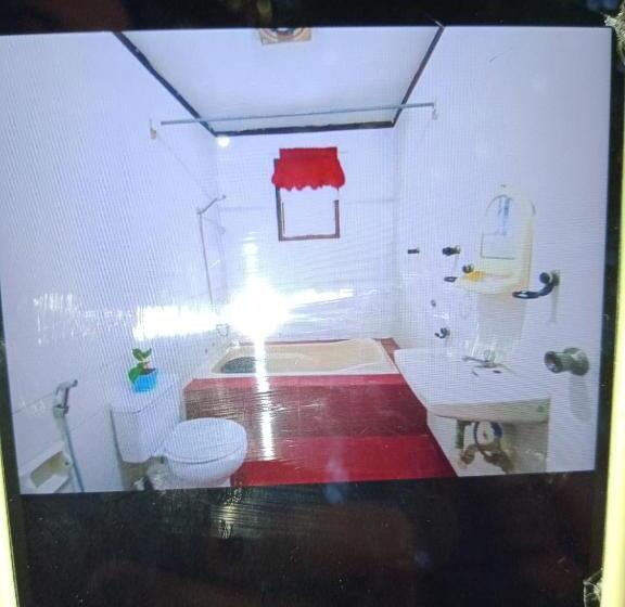 膳宿费 Driscoll Xannon Guesthouse