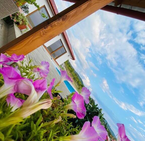 بنسيون Gold Horse Vendégház