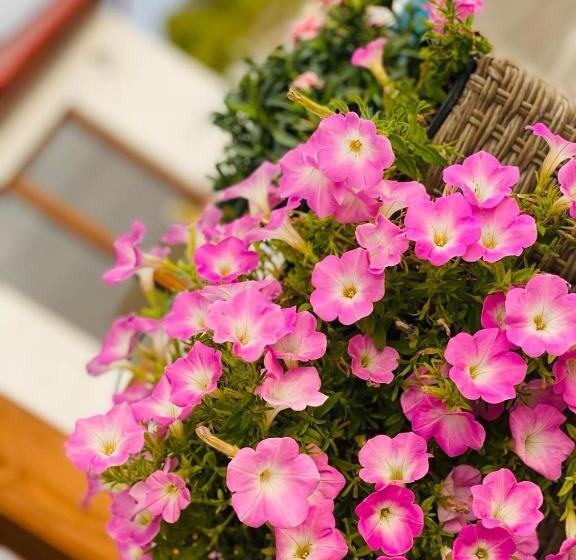 بنسيون Gold Horse Vendégház