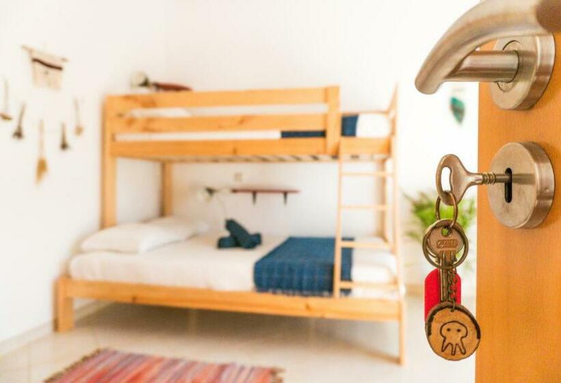 Пансион Jelly Fish Guest House