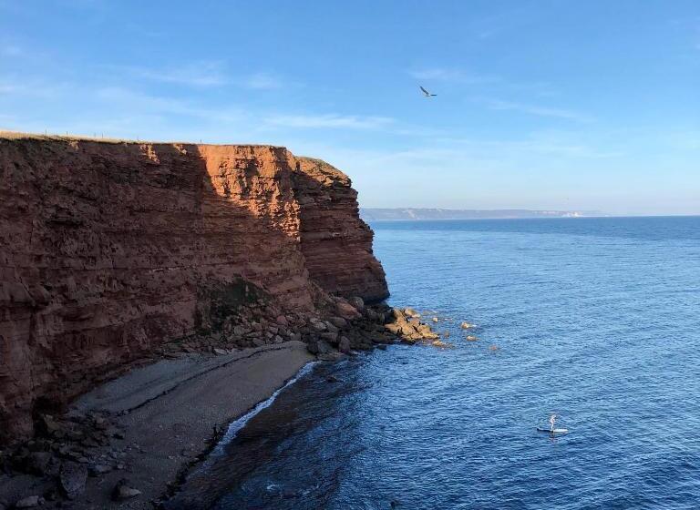 پانسیون Jurassic Hideaway