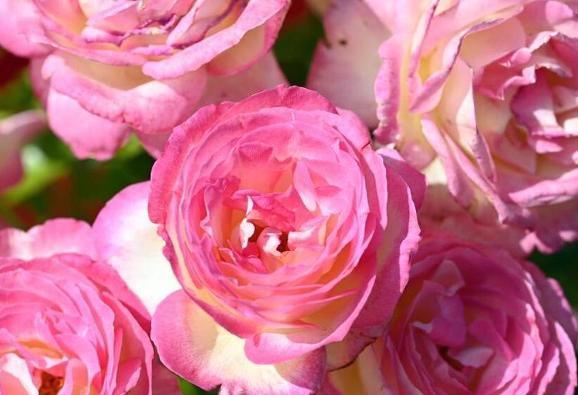 Пансион Le Jardin De Séverine