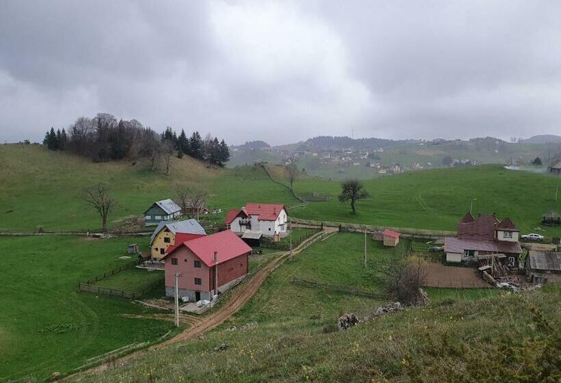 Пансион Raiul Carpatin