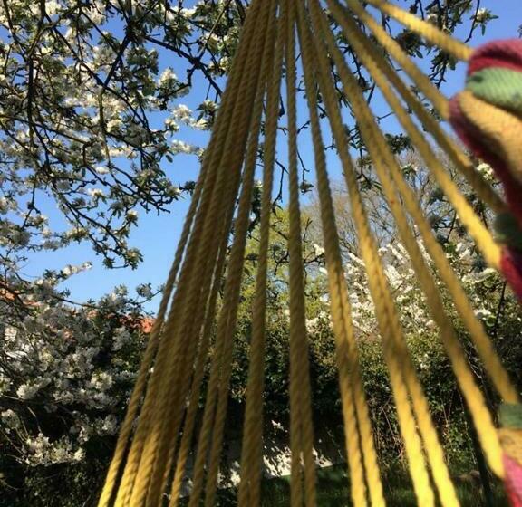 Bed and Breakfast Slaaphuisje Het Vliegend Varken