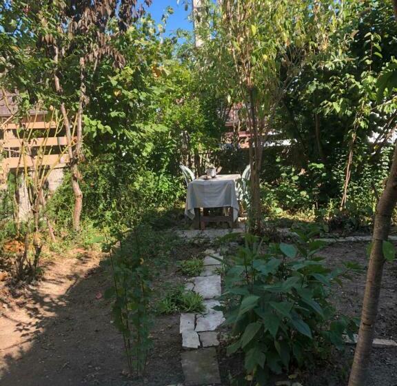 ベッドアンドブレックファースト Chambre Spacieuse Dans Joli Village Alsacien