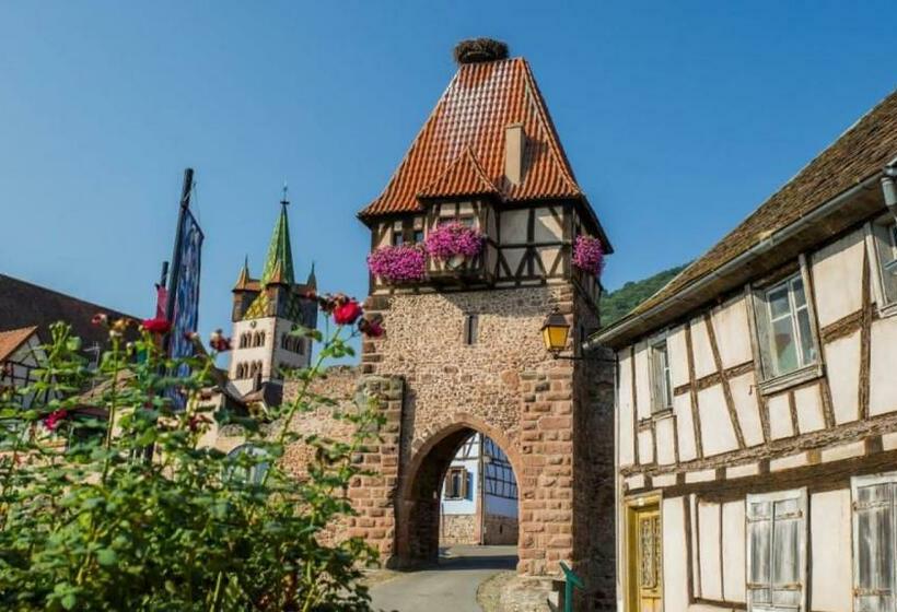 ベッドアンドブレックファースト Chambre Spacieuse Dans Joli Village Alsacien