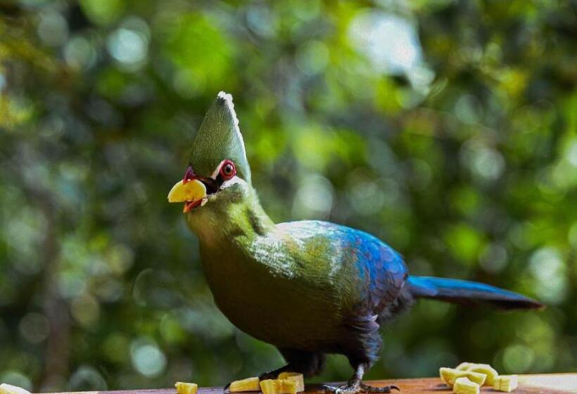 住宿加早餐 Forest Hill Wilderness