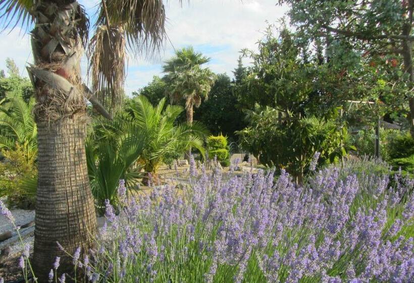 مبيت وإفطار La Palmeraie