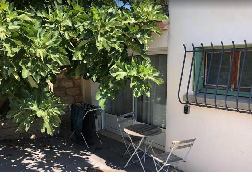 민박 Le Nid Castries   Charmant Logement Complet Et équipé Centre Castries Proche Montpellier