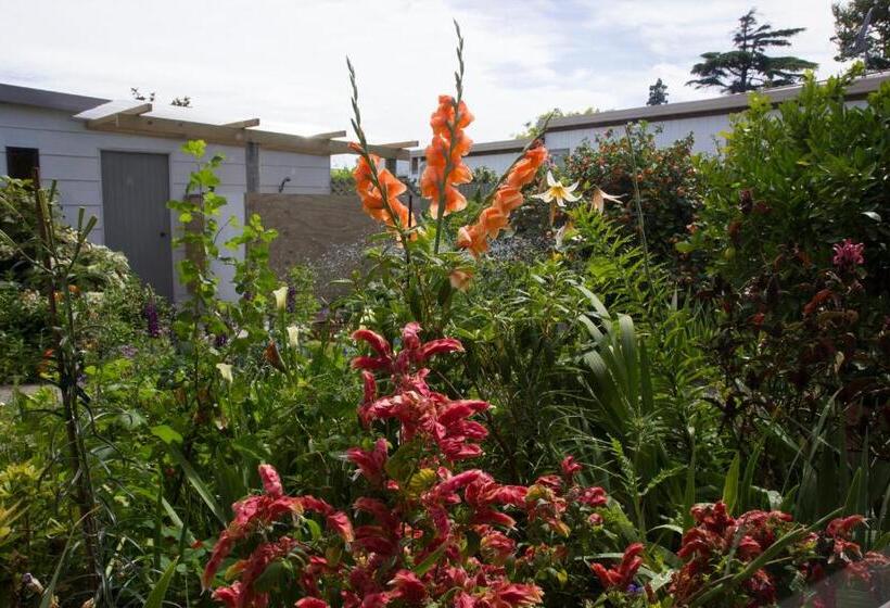 مبيت وإفطار Magnolia House