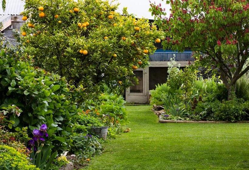 مبيت وإفطار Magnolia House