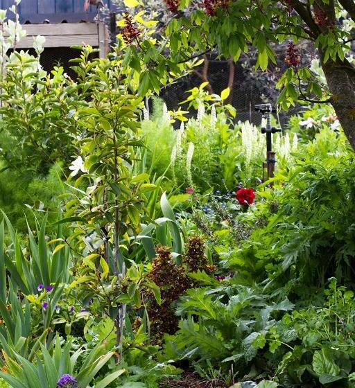 مبيت وإفطار Magnolia House