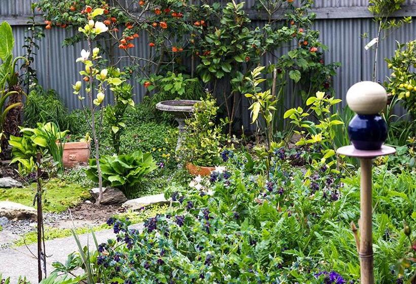 مبيت وإفطار Magnolia House