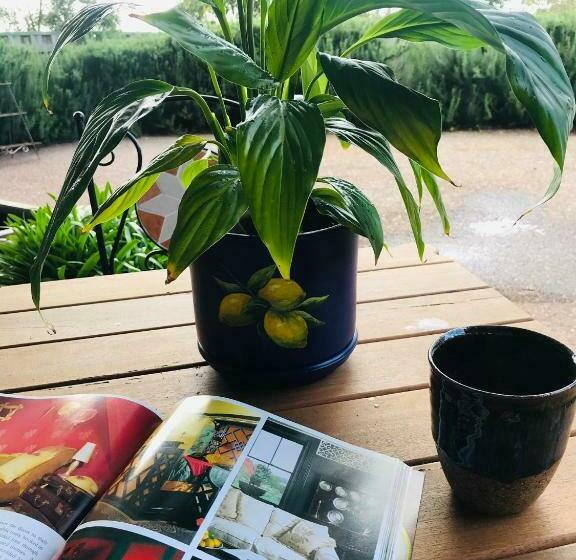 مبيت وإفطار Robinson Retreat