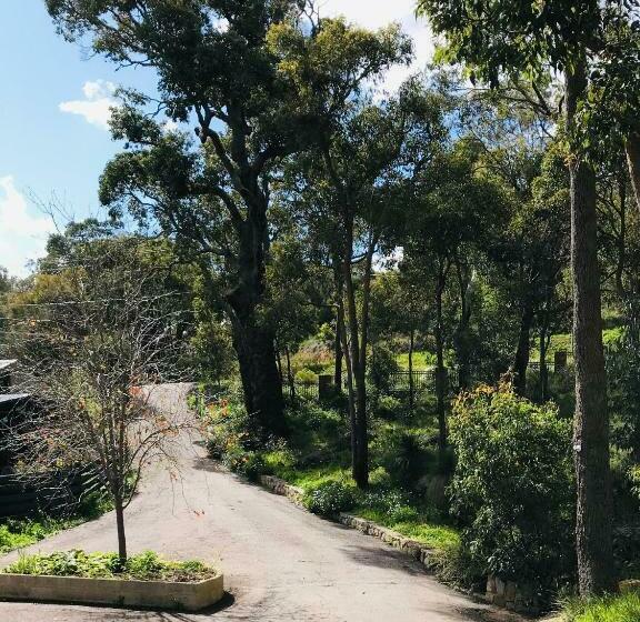 مبيت وإفطار Robinson Retreat