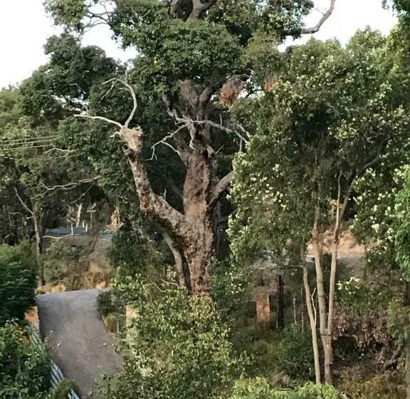 مبيت وإفطار Robinson Retreat