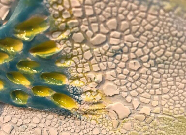 Bed and Breakfast Slaaphuisje Het Vliegend Varken