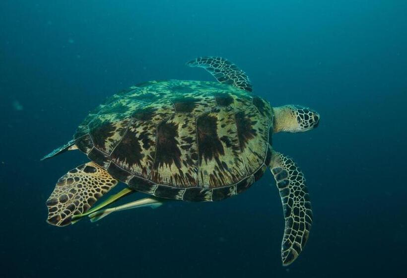 Cabagnow Seaside Resort