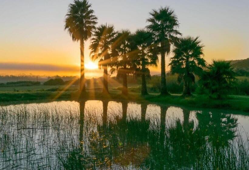 Chicane Bed And Breakfast