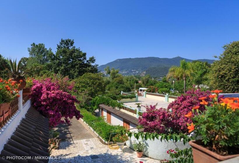 בית מלון כפרי Centro Ferie Salvatore